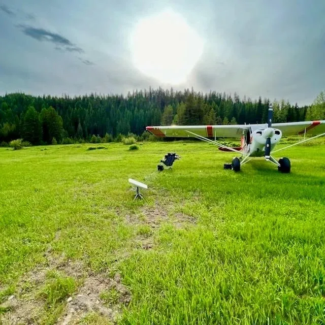 A small plane is sitting in the grass.